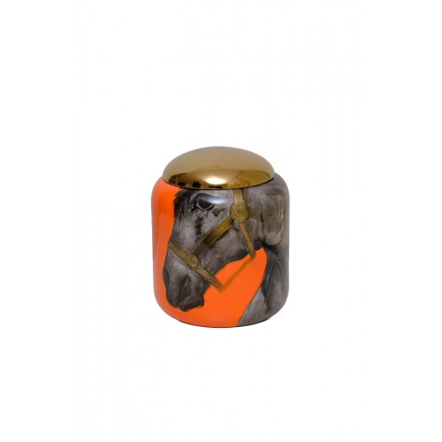 HB HOME AT DESENLİ TURUNCU RENK KAPAKLI VAZO 1HC-17384