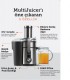DEXART MultiJuicer Whole Fruit&Vegetable Katı Meyve Sıkacağı
