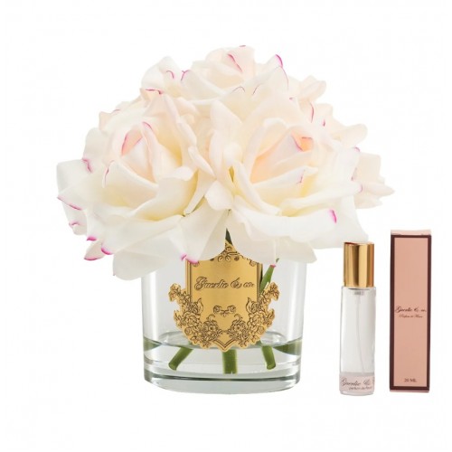 Guerlie&co. Krem Pembe 5 Gül Gold
