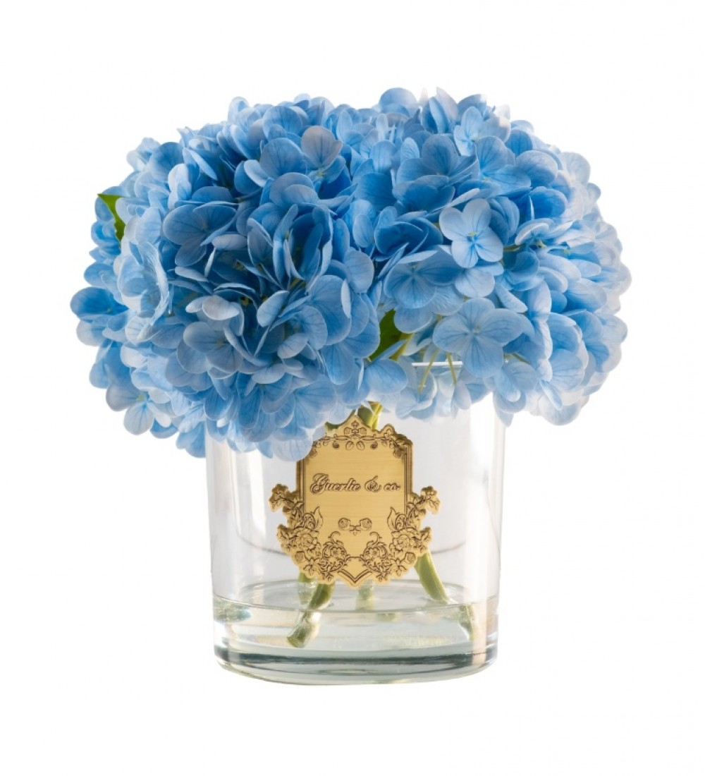 Guerlie&co. Mavi Ortanca Gold