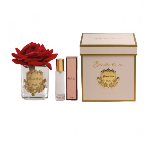 Guerlie&co. Kırmızı Tek Gül Gold