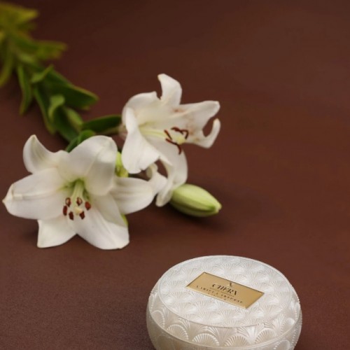 Vanilla Intense Cam Kase Mum