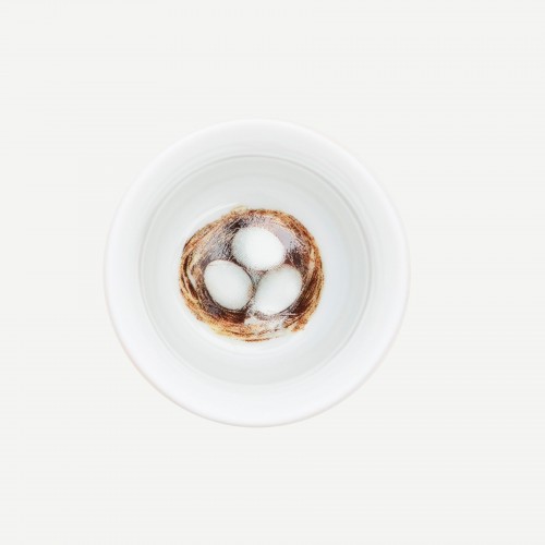 Love Birds Kırmızı Pembe Yumurtalık 